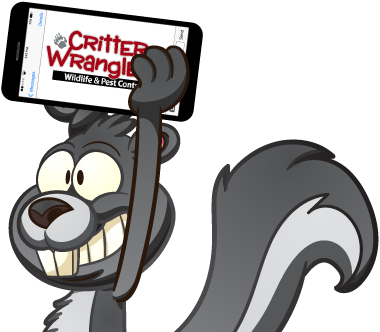 Squirrel-top-half-with-outline-5b6dcaa5cd9eb image